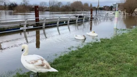 River Severn at Worcester