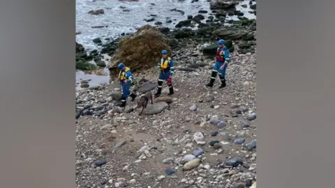 Sunderland Coastguard Rescue