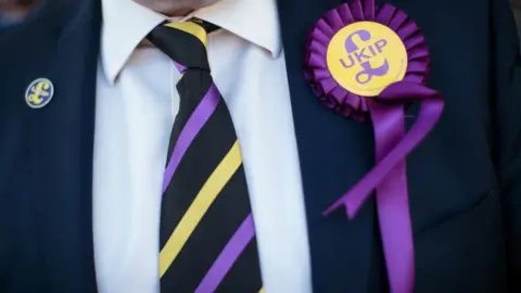 Getty Images UKIP rosette