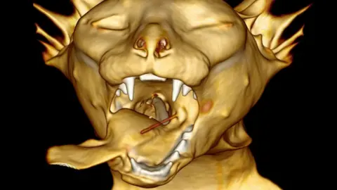 Dick White Referrals 3D image of cat with kebab stick in mouth