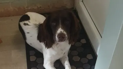 CCFC Prints Leo the puppy