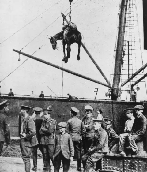 Getty Images A horse is landed from a British military transport ship at Boulogne, France, during World War I, August 1914