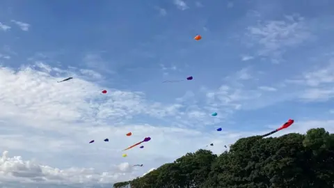 A far picture showing kites