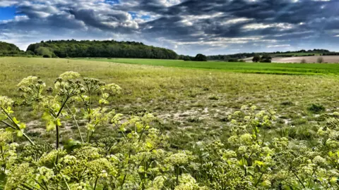 Shaun Whitmore/BBC Burnham Deepdale, Norfolk