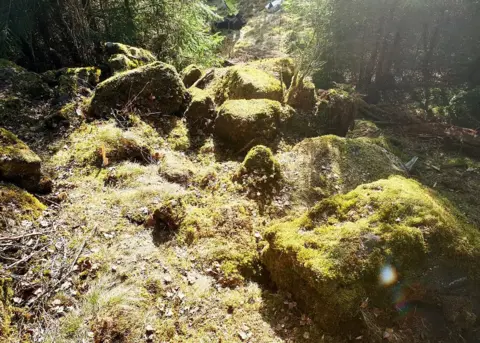 Johanna Lega/vgregion Boulders at treasure site