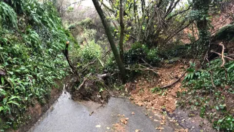 A photo of a tree blocking the road