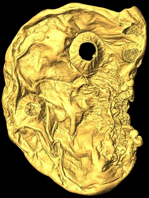 P Donoghue et al/University of Bristol A detailed image of Saccorhytus coronarius