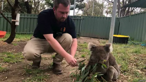 Longleat Australia fires