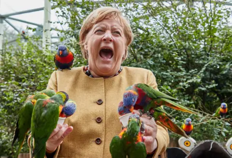 Georg Wendt / DPA / Alamy Chancellor Angela Merkel feeds Australian lorises at Marlow Bird Park.