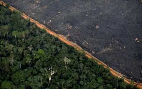 Reuters An aerial view shows a deforested plot of the Amazon near Porto Velho on 17 September 2019