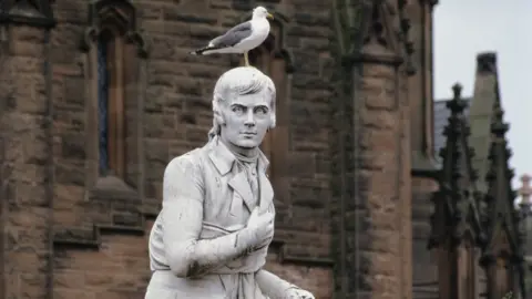 Getty Images Seagull on Robert Burns