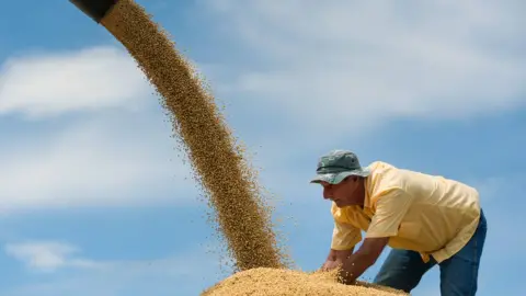 Getty Images A worker scatters cropped soybeans in a truck, in Campo Novo do Parecis, about 400km northwest from the capital city of Cuiaba, in Mato Grosso, Brazil, on March 27, 2012