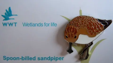 WWT Spoon-billed sandpiper badge