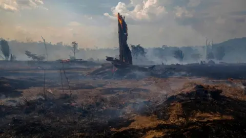AFP/Getty Deforestation Amazon