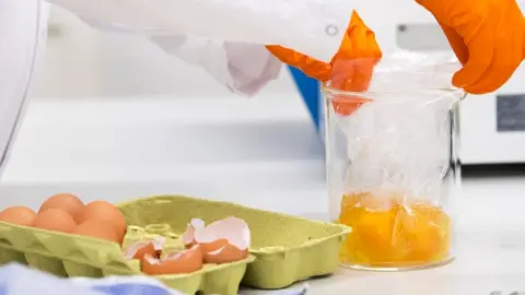 AFP Photo of Dutch food and safety board labratory worker testing eggs for contamination