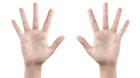 Length of ring and index fingers 'linked to sexuality