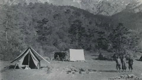 Royal Botanic Gardens, Edinburgh and RHS Plant specimens are pressed under large rocks
