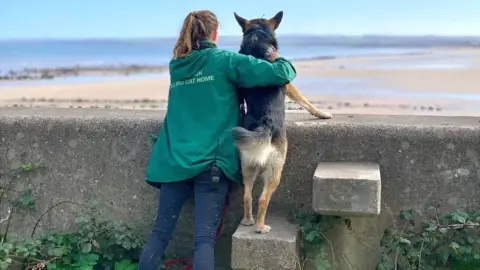 Edinburgh Dog and Cat Home Edinburgh Dog and Cat Home