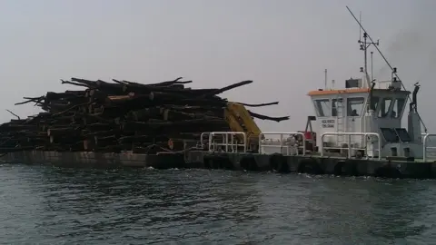 Dennis Ivers Timber from the lake is loaded on to a barge before it is transported to a saw mill.