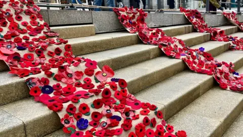 DARLINGTON COUNCIL Waterfall of poppies