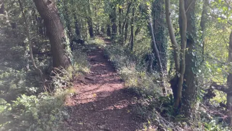 Daniel Mumby Pathway