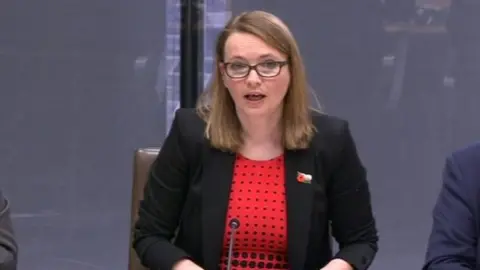 Kirsty Williams said she was "disappointed" by the approach