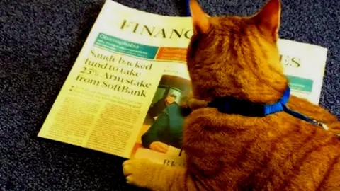 Marshall Library of Economics Cat reading the FT