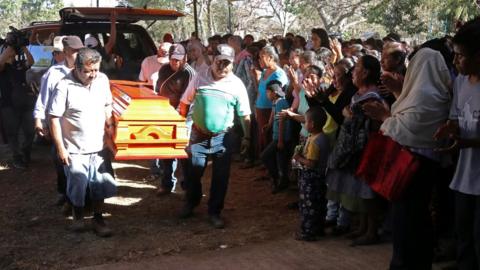 Mexican environmental activist murdered in Morelos - BBC News