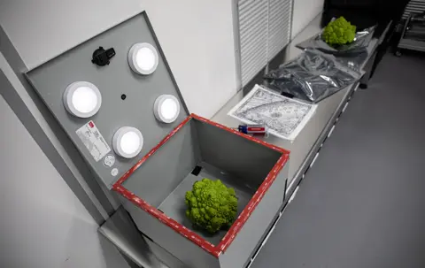 J.Orrell/SLAC National Accelerator Laboratory) Broccoli in a box