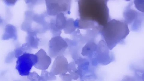 Monica Tromp lapis lazuli