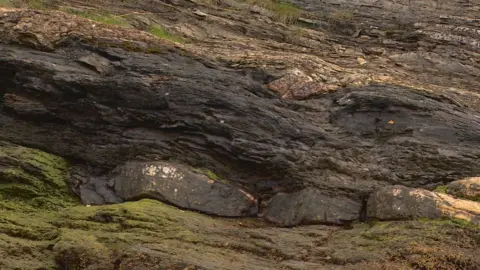 Empics Lothian oil shale seam at South Queensferry