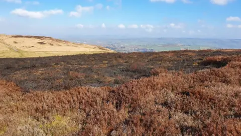 Jim Bradley - Belfast Hills Partnership cave hill