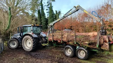 South West Water Confier removal