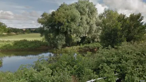 River with trees on the bank