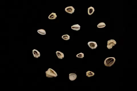 Oscar Liberal/Iphan Cowrie shells also form part of the collection