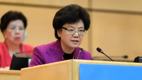 AFP Central Committee member Li Bin addresses the world health organisation in Switzerland. She chairs China's National Health and Family Planning Commission.