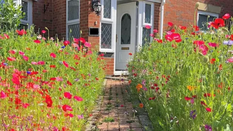 Peter Thain Meadow front garden in Cheltenham