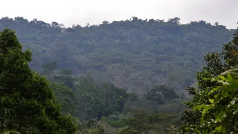 Anglia Ruskin University Kibale National Park