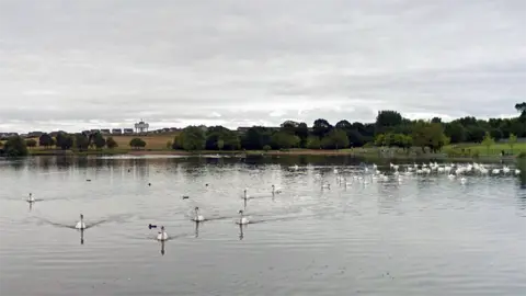 Google hogganfield park