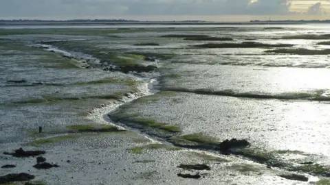 Robin Webster Langstone Harbour