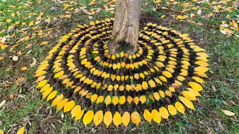 Historic Coventry Trust A land sculpture using leaves and pine cones that has been designed around the base of a tree