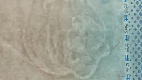 Finnish Police Board Flawed Finnish passport watermark