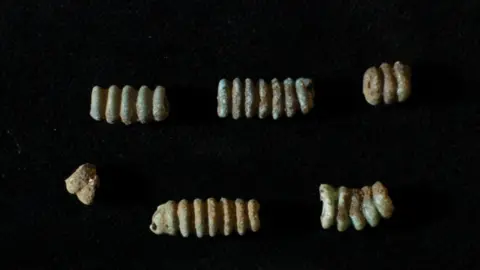 Oxford Archaeology Bronze Age beads