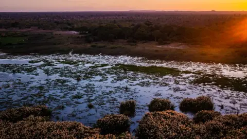 Liwonde National Park