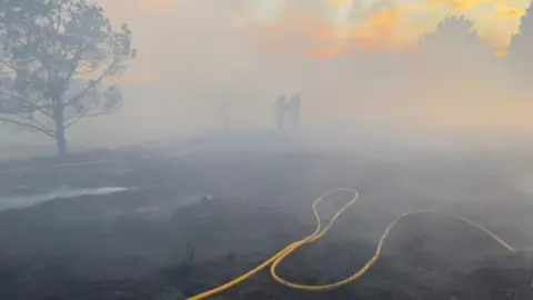 @DWFRSXchurch St Catherine's Hill near Christchurch