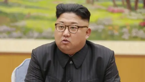 KOREAN CENTRAL NEWS AGENCY North Korean leader Kim Jong-un