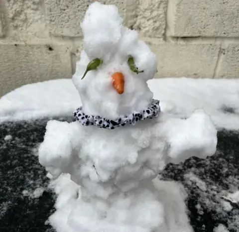 Terri Marie Woodfield A snowman