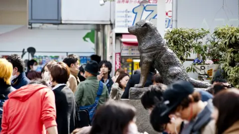 Getty Images Hachiko the Akita dog's statue