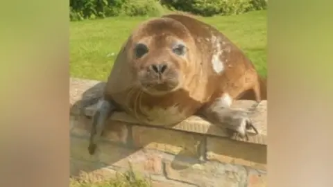 Lincolnshire Police Seal on patio