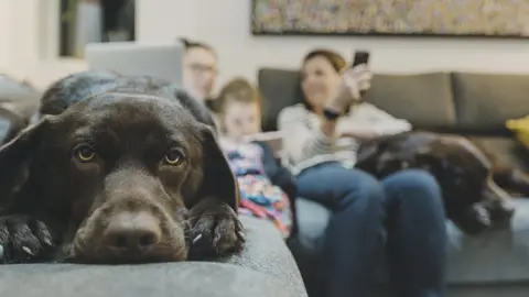 Getty Images Dog on sofa with family